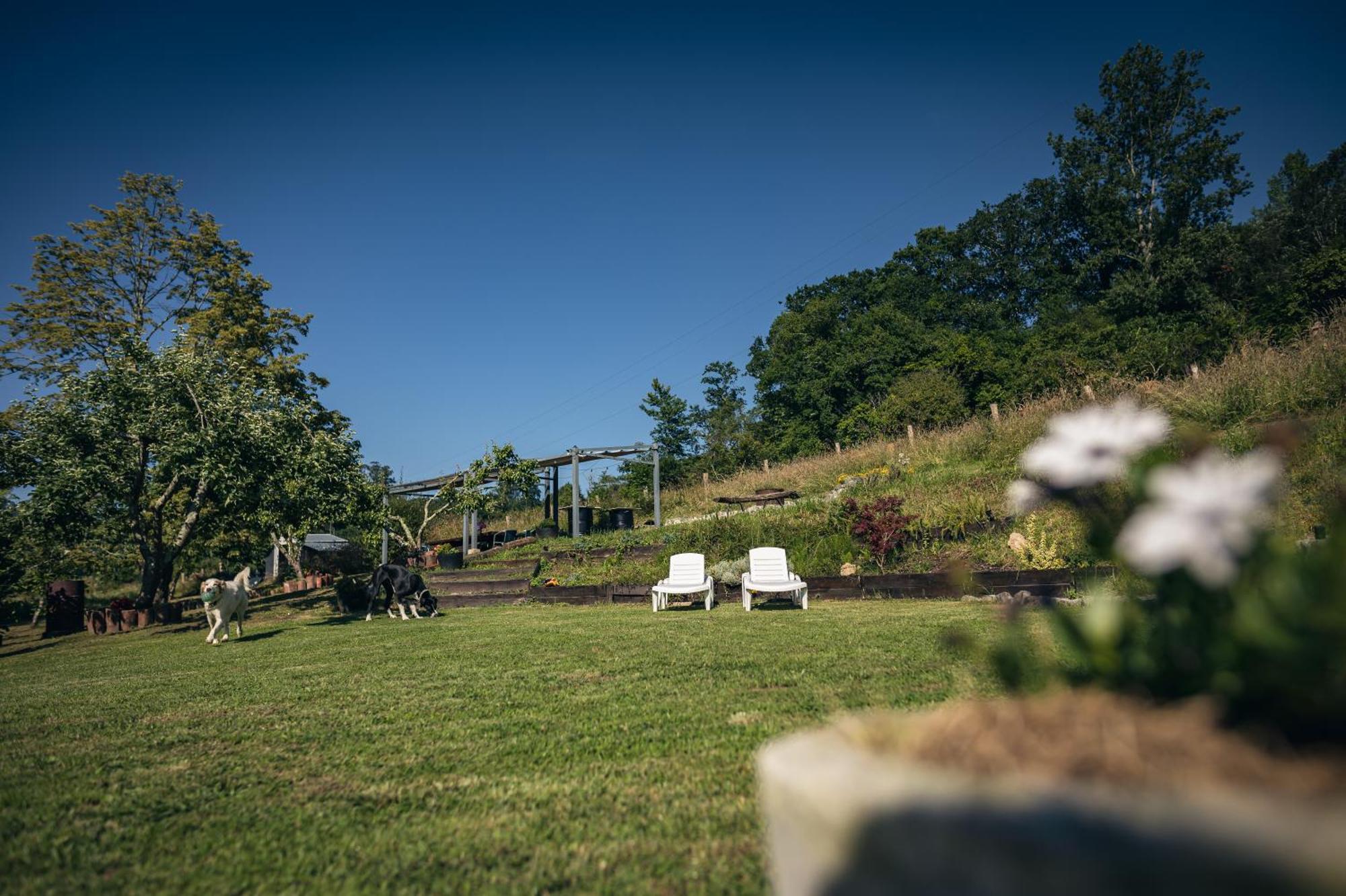 Finca La Naguada Casa Rural En Asturias Beloncio Exteriér fotografie