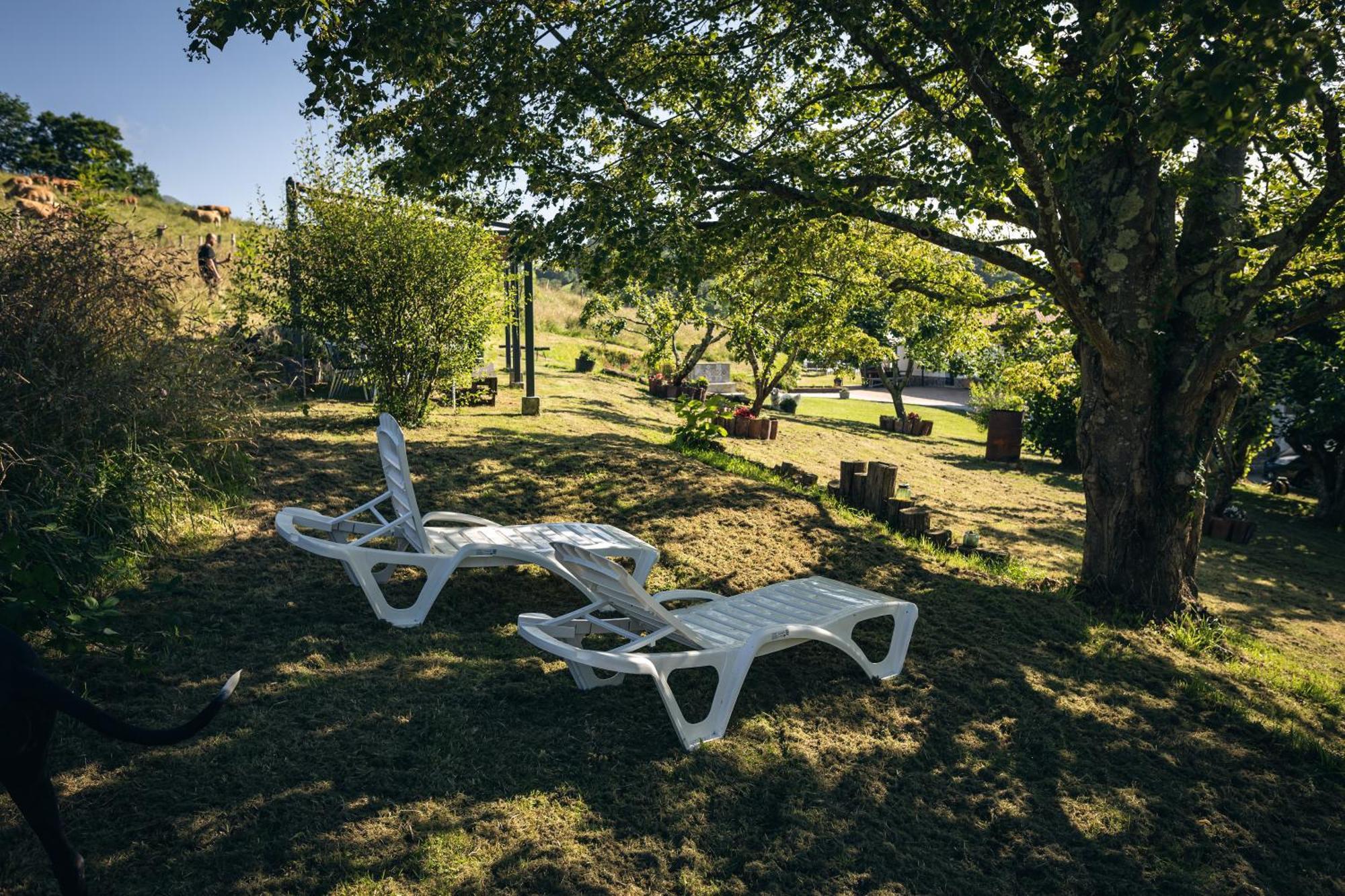 Finca La Naguada Casa Rural En Asturias Beloncio Exteriér fotografie