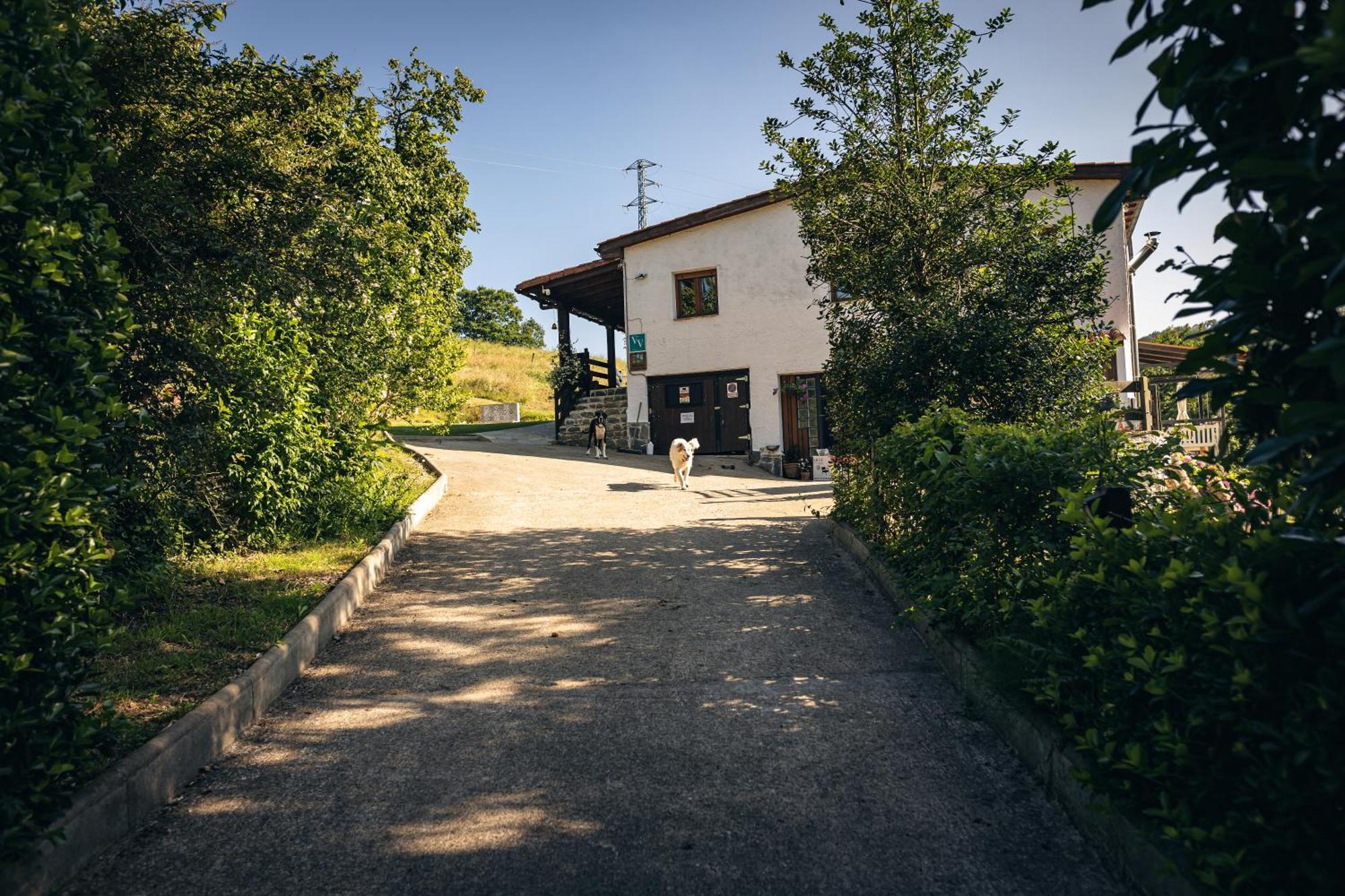 Finca La Naguada Casa Rural En Asturias Beloncio Exteriér fotografie
